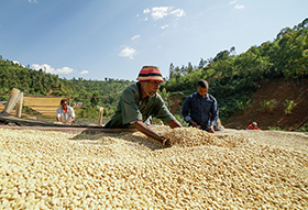 Kies jouw koffie bewust, maak wereldwijd impact!